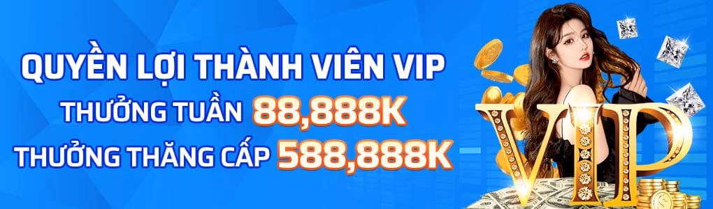 Ưu đãi dành cho thành viên mới SHVET